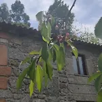 Casa Cerejeiras Geres
