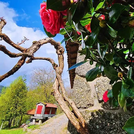 Casa Cerejeiras Ferienhaus *