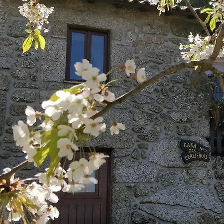 Casa Cerejeiras Dom wakacyjny Carvalheira