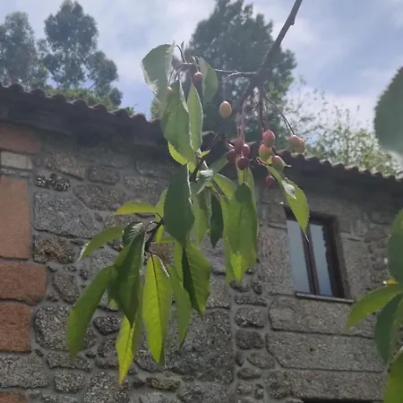Casa Cerejeiras Carvalheira