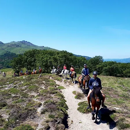 Dom wakacyjny Casa Cerejeiras *
