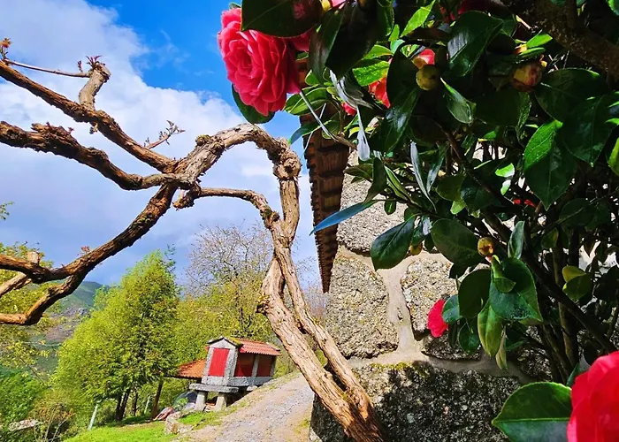 Casa Cerejeiras Ferienhaus *