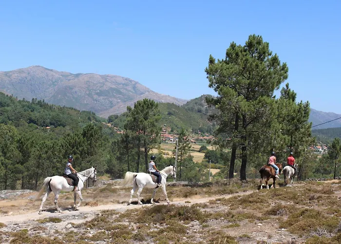 Ferienhaus Casa Cerejeiras *